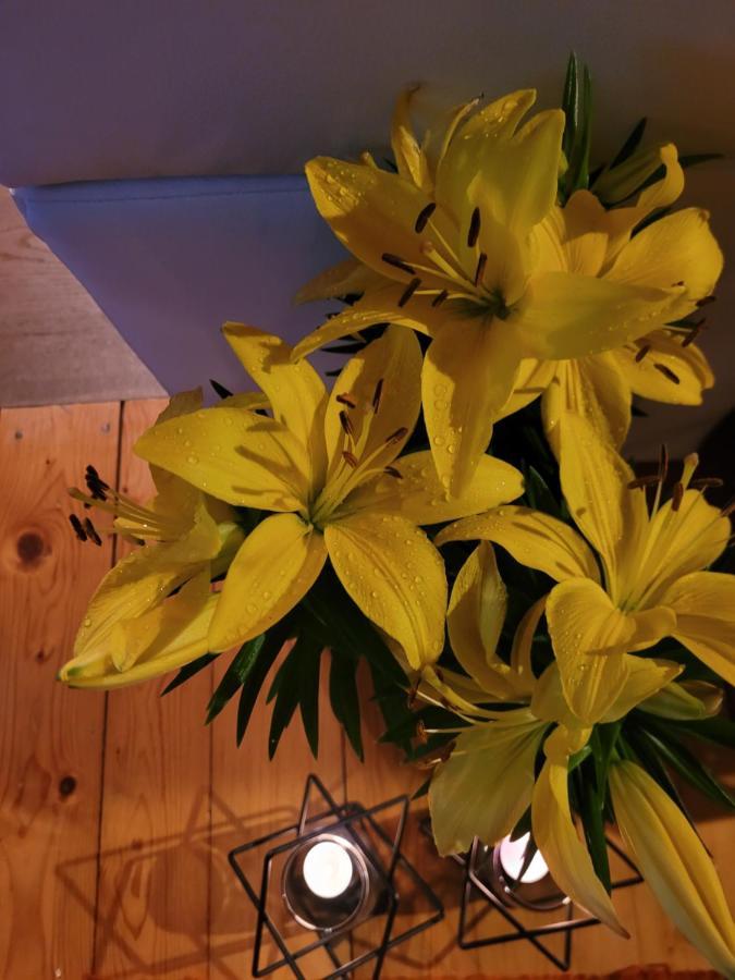 Apartament Lilla Єленя-Ґура Екстер'єр фото