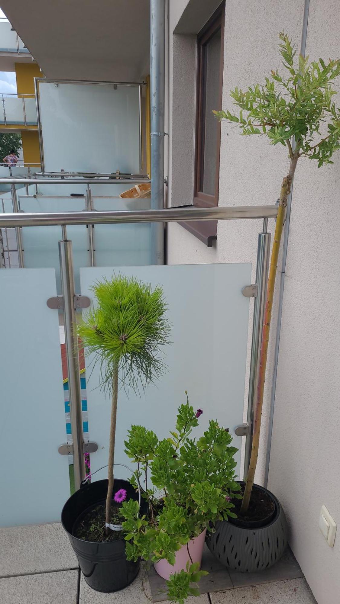 Apartament Lilla Єленя-Ґура Екстер'єр фото